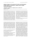 Báo cáo khoa học:  Adaptive changes in the expression of nuclear and mitochondrial encoded subunits of cytochrome c oxidase and the catalytic activity during hypoxia