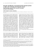 Báo cáo khoa học: Proteomic identiﬁcation of all plastid-speciﬁc ribosomal proteins in higher plant chloroplast 30S ribosomal subunit PSRP-2 (U1A-type domains), PSRP-3a/b (ycf65 homologue) and PSRP-4 (Thx homologue)