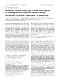 Báo cáo khoa học:  Plasminogen activator inhibitor type-1 inhibits insulin signaling by competing with avb3 integrin for vitronectin binding