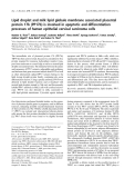 Báo cáo khoa học: Lipid droplet and milk lipid globule membrane associated placental protein 17b (PP17b) is involved in apoptotic and differentiation processes of human epithelial cervical carcinoma cells