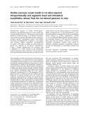 Báo cáo khoa học: Choline increases serum insulin in rat when injected intraperitoneally and augments basal and stimulated aceylcholine release from the rat minced pancreas in vitro