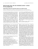 Báo cáo khoa học: Mixed lineage kinase LZK and antioxidant protein-1 activate NF-jB synergistically