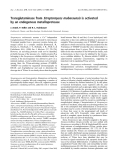 Báo cáo khoa học: Transglutaminase from Streptomyces mobaraensis is activated by an endogenous metalloprotease