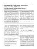 Báo cáo khoa học: Biotinylation in the hyperthermophile Aquifex aeolicus Isolation of a cross-linked BPL:BCCP complex