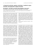 Báo cáo khoa học:  a-Fetoprotein positively regulates cytochrome c-mediated caspase activation and apoptosome complex formation