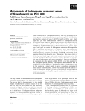 Báo cáo khoa học: Mutagenesis of hydrogenase accessory genes of Synechocystis sp. PCC 6803 Additional homologues of hypA and hypB are not active in hydrogenase maturation