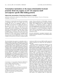 Báo cáo khoa học:  Transcription termination at the mouse mitochondrial H-strand promoter distal site requires an A/T rich sequence motif and sequence speciﬁc DNA binding proteins