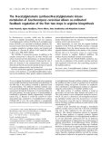 Báo cáo khoa học:  The N-acetylglutamate synthase/N-acetylglutamate kinase metabolon of Saccharomyces cerevisiae allows co-ordinated feedback regulation of the ﬁrst two steps in arginine biosynthesis