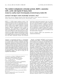 Báo cáo khoa học:  The resident endoplasmic reticulum protein, BAP31, associates with c-actin and myosin B heavy chain Analysis by capillary liquid chromatography microelectrospray tandem MS