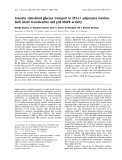 Báo cáo khoa học:  Arsenite stimulated glucose transport in 3T3-L1 adipocytes involves both Glut4 translocation and p38 MAPK activity