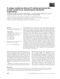 Báo cáo khoa học: A unique vertebrate histone H1-related protamine-like protein results in an unusual sperm chromatin organization