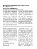 Báo cáo khoa học:  Preventing nondesired RNA-primed RNA extension catalyzed by T7 RNA polymerase