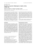 Báo cáo khoa học:  Regulation of pyruvate dehydrogenase complex activity in plant cells