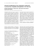 Báo cáo khoa học:  Activated transglutaminase from Streptomyces mobaraensis is processed by a tripeptidyl aminopeptidase in the ﬁnal step