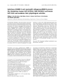 Báo cáo khoa học:  Gelatinase B/MMP-9 and neutrophil collagenase/MMP-8 process the chemokines human GCP-2/CXCL6, ENA-78/CXCL5 and mouse GCP-2/LIX and modulate their physiological activities