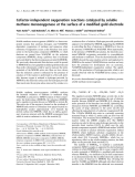 Báo cáo khoa học:  Cofactor-independent oxygenation reactions catalyzed by soluble methane monooxygenase at the surface of a modiﬁed gold electrode