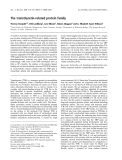 Báo cáo khoa học: The transthyretin-related protein family