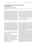 Báo cáo khoa học:  Reconstruction of the central carbon metabolism of Aspergillus niger