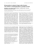 Báo cáo khoa học: Microperoxidase 8 catalysed nitrogen oxides formation from oxidation of N-hydroxyguanidines by hydrogen peroxide