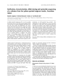 Báo cáo khoa học:  Puriﬁcation, characterization, cDNA cloning and nucleotide sequencing of a cellulase from the yellow-spotted longicorn beetle, Psacothea hilaris