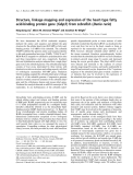 Báo cáo khoa học: Structure, linkage mapping and expression of the heart-type fatty acid-binding protein gene (fabp3 ) from zebraﬁsh (Danio rerio)