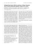 Báo cáo khoa học:  Distinguishing between different pathways of bilayer disruption by the related antimicrobial peptides cecropin B, B1 and B3