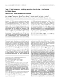 Báo cáo khoa học:  Two CCAAT/enhancer binding protein sites in the cytochrome P4503A1 locus Potencial role in the glucocorticoid response