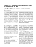 Báo cáo khoa học: The effect of ST2 gene product on anchorage-independent growth of a glioblastoma cell line, T98G