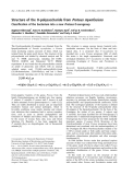 Báo cáo khoa học: Structure of the O-polysaccharide fromProteus myxofaciens Classification of the bacterium into a newProteusO-serogroup