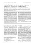 Báo cáo khoa học:  Functional ﬁne-mapping and molecular modeling of a conserved loop epitope of the measles virus hemagglutinin protein