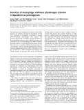 Báo cáo khoa học: Secretion of macrophage urokinase plasminogen activator is dependent on proteoglycans