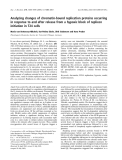 Báo cáo khoa học:  Analyzing changes of chromatin-bound replication proteins occurring in response to and after release from a hypoxic block of replicon initiation in T24 cells