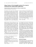 Báo cáo khoa học: Unique features of the hemoglobin system of the Antarctic notothenioid ﬁsh Gobionotothen gibberifrons