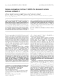 Báo cáo khoa học:  Human proteoglycan testican-1 inhibits the lysosomal cysteine protease cathepsin L