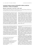 Báo cáo khoa học:  Lysosomal enzymes promote mitochondrial oxidant production, cytochrome c release and apoptosis