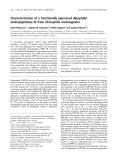 Báo cáo khoa học: Characterization of a functionally expressed dipeptidyl aminopeptidase III from Drosophila melanogaster