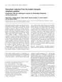 Báo cáo khoa học: Thioredoxin reductase from the malaria mosquito Anopheles gambiae Comparisons with the orthologous enzymes of Plasmodium falciparum and the human host