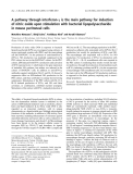 Báo cáo khoa học:  A pathway through interferon-c is the main pathway for induction of nitric oxide upon stimulation with bacterial lipopolysaccharide in mouse peritoneal cells