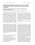 Báo cáo khoa học: b-Amyloid protein oligomers induced by metal ions and acid pH are distinct from those generated by slow spontaneous ageing at neutral pH