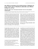 Báo cáo khoa học:  Does different orientation of the methoxy groups of ubiquinone-10 in the reaction centre of Rhodobacter sphaeroides cause different binding at QA and QB?