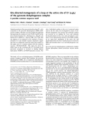 Báo cáo khoa học: Site-directed mutagenesis of a loop at the active site of E1 (a2b2) of the pyruvate dehydrogenase complex A possible common sequence motif