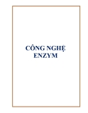 Bài giảng công nghệ Enzym - GVC Ths. Trần Xuân Ngạch