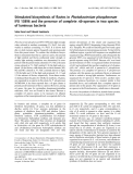 Báo cáo Y học:  Stimulated biosynthesis of ﬂavins in Photobacterium phosphoreum IFO 13896 and the presence of complete rib operons in two species of luminous bacteria Sabu Kasai and Takumi Sumimoto