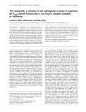 Báo cáo Y học: The cytoplasmic C-terminus of the sulfonylurea receptor is important for KATP channel function but is not key for complex assembly or trafﬁcking