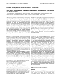 Báo cáo Y học: Rodent a-chymases are elastase-like proteases