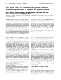 Báo cáo Y học:  RING ﬁnger, B-box, and coiled-coil (RBCC) protein expression in branchial epithelial cells of Japanese eel, Anguilla japonica