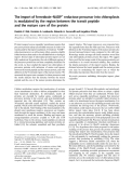 Báo cáo Y học:  The import of ferredoxin–NADP+ reductase precursor into chloroplasts is modulated by the region between the transit peptide and the mature core of the protein