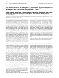 Báo cáo khoa học: The crystal structure of coenzyme B12-dependent glycerol dehydratase in complex with cobalamin and propane-1,2-diol