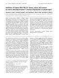 Báo cáo khoa học: Inhibition of human MDA-MB-231 breast cancer cell invasion by matrix metalloproteinase 3 involves degradation of plasminogen