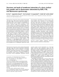 Báo cáo khoa học: Structures and mode of membrane interaction of a short a helical lytic peptide and its diastereomer determined by NMR, FTIR, and ﬂuorescence spectroscopy